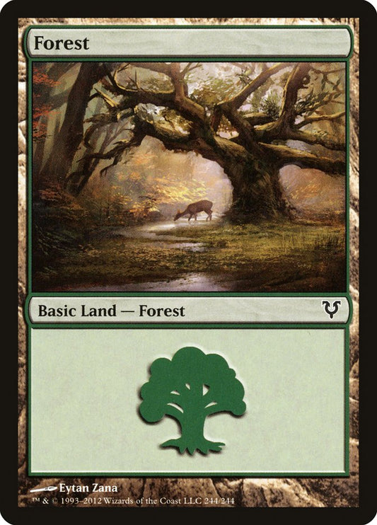Forest front