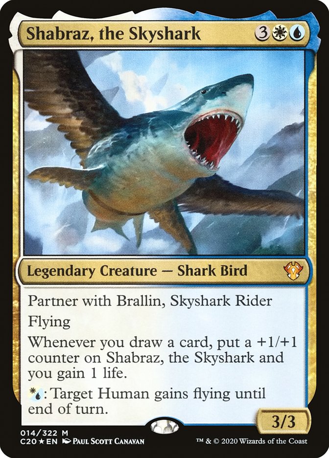 Shabraz, the Skyshark front