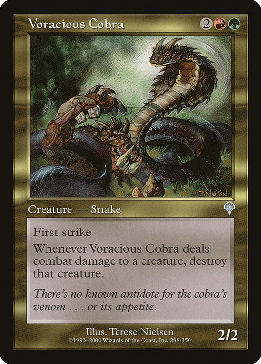 Voracious Cobra front