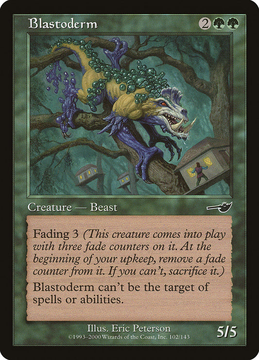 Blastoderm front
