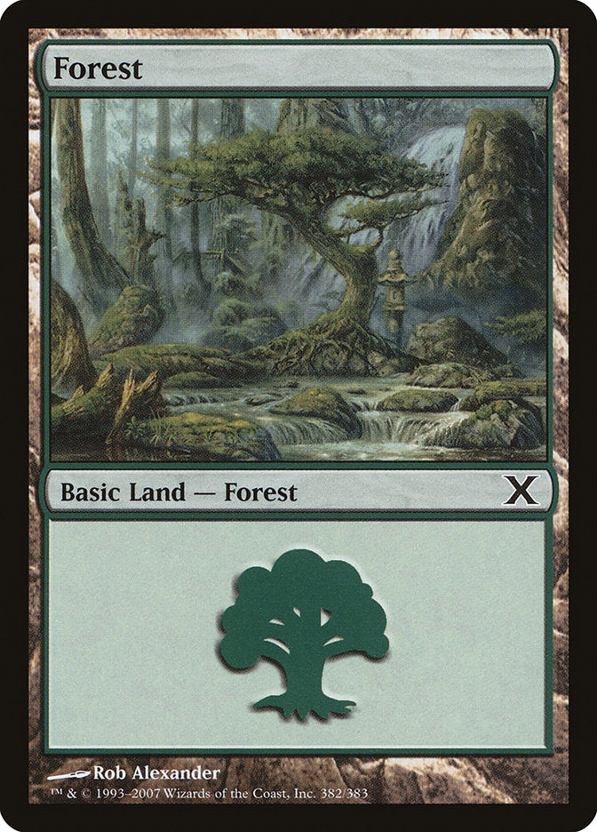 Forest front