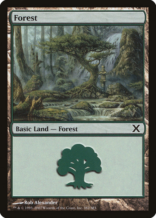 Forest front