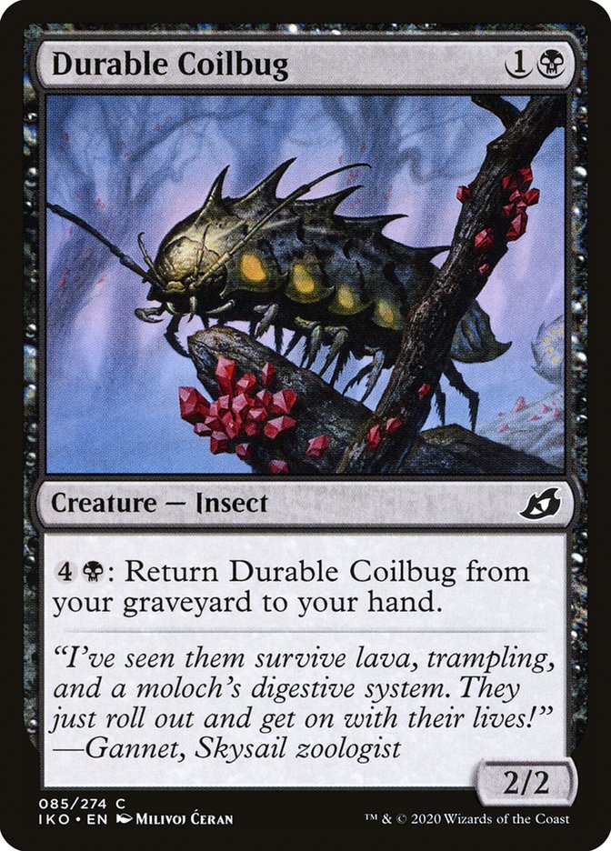 Durable Coilbug front