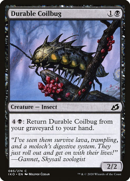 Durable Coilbug front