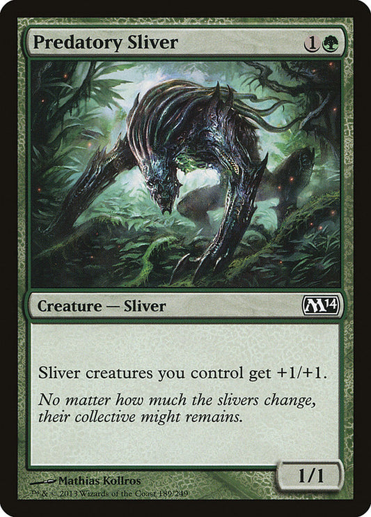 Predatory Sliver front