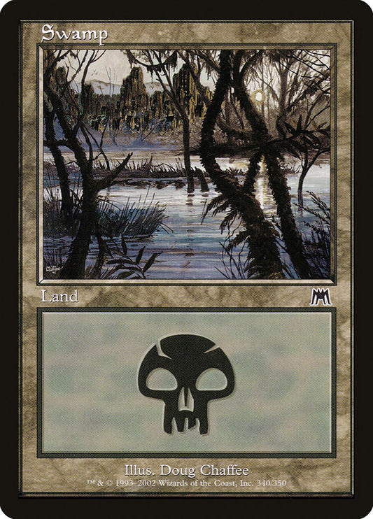 Swamp front