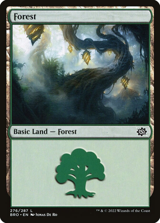 Forest front