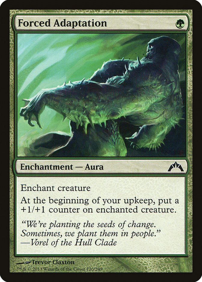 Forced Adaptation front