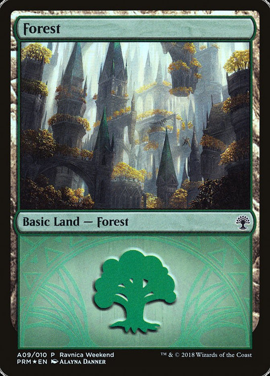 Forest front