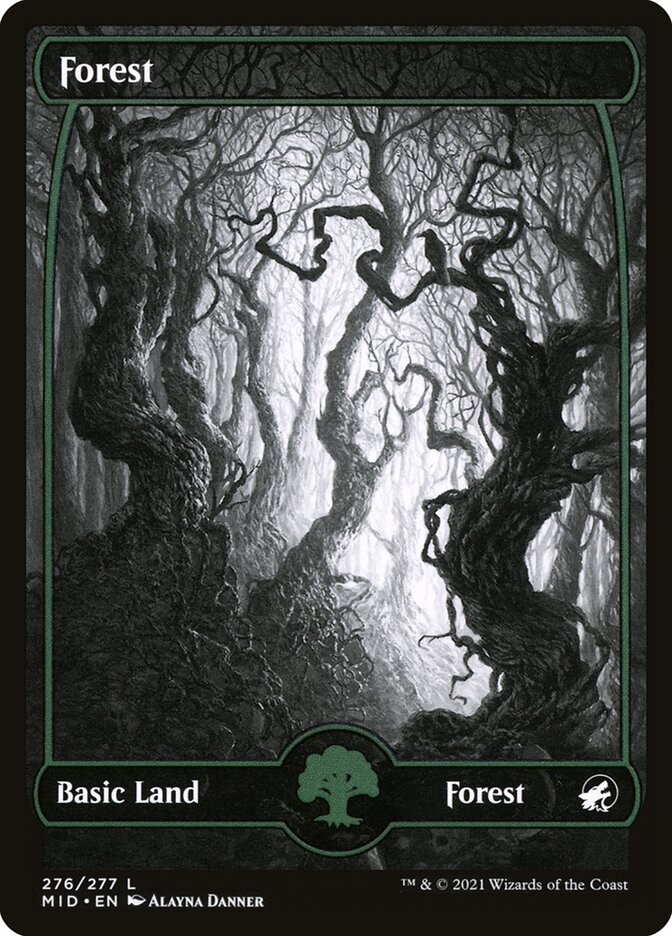 Forest front