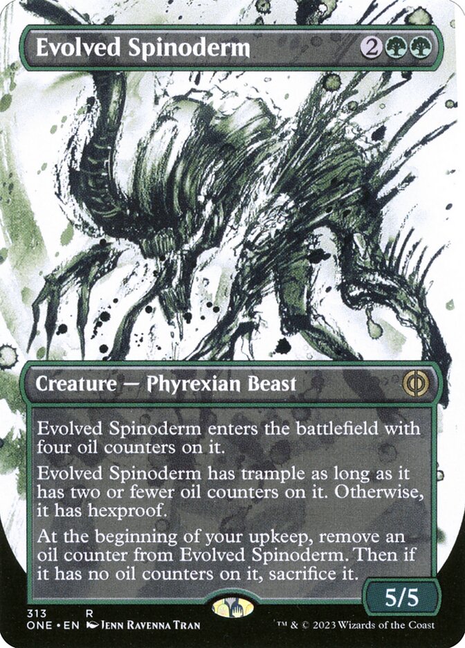 Evolved Spinoderm front