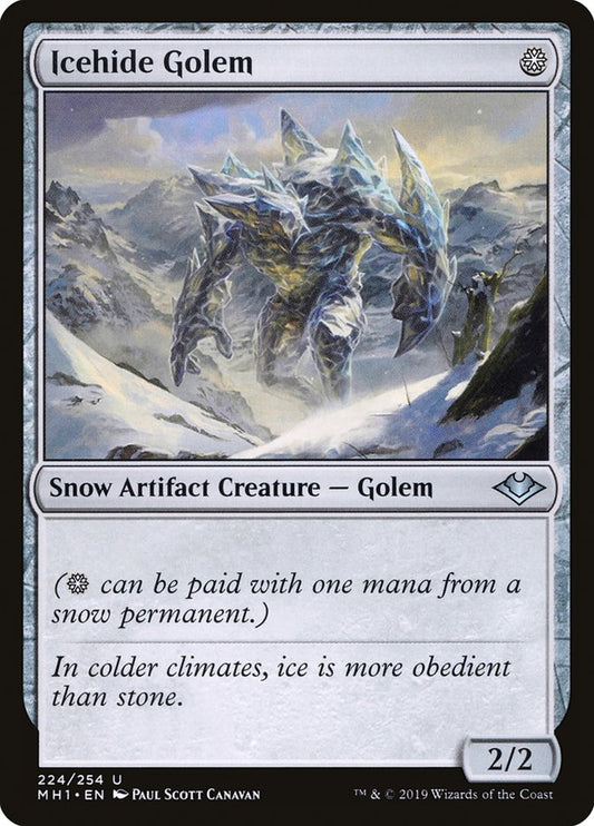 Icehide Golem front