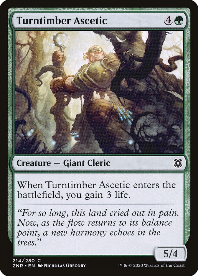 Turntimber Ascetic front