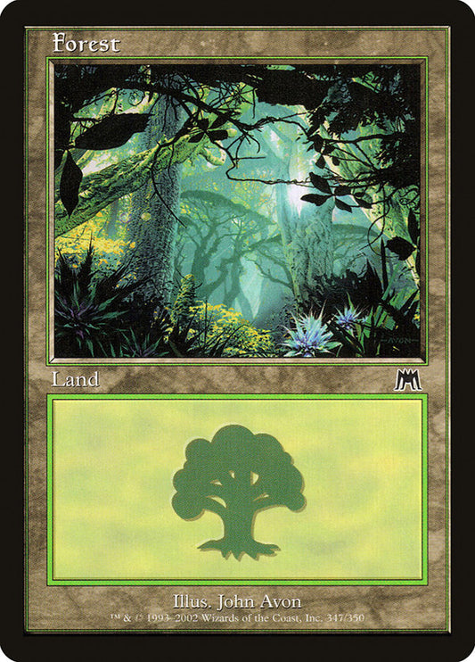 Forest front
