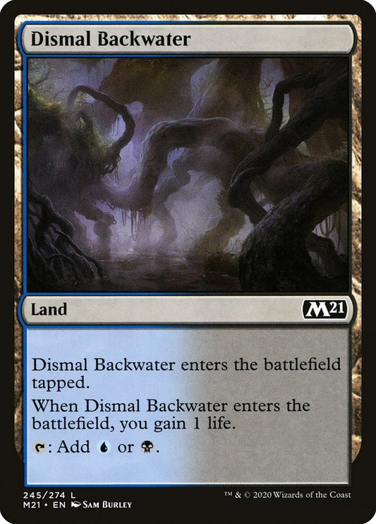 Dismal Backwater front
