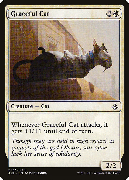 Graceful Cat front