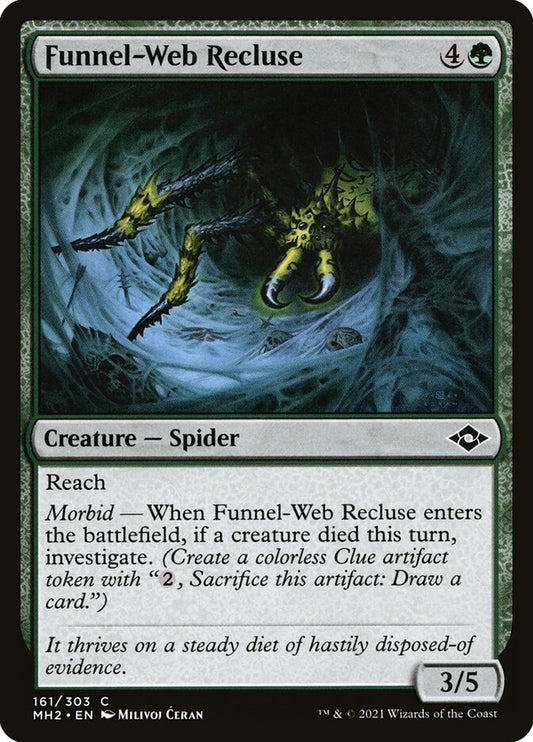 Funnel-Web Recluse front