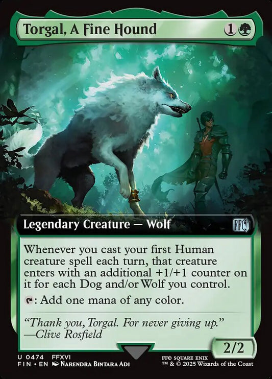 Torgal, A Fine Hound front