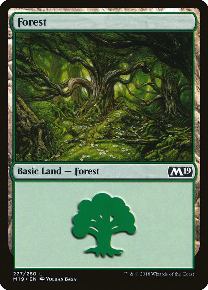 Forest front