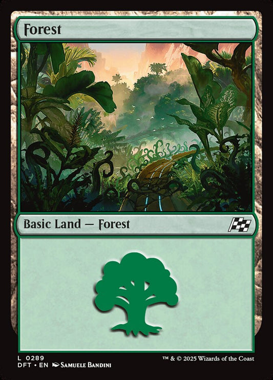 Forest front