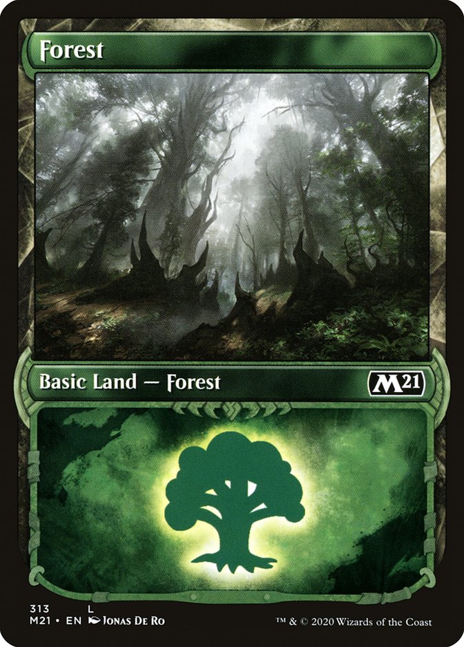 Forest front
