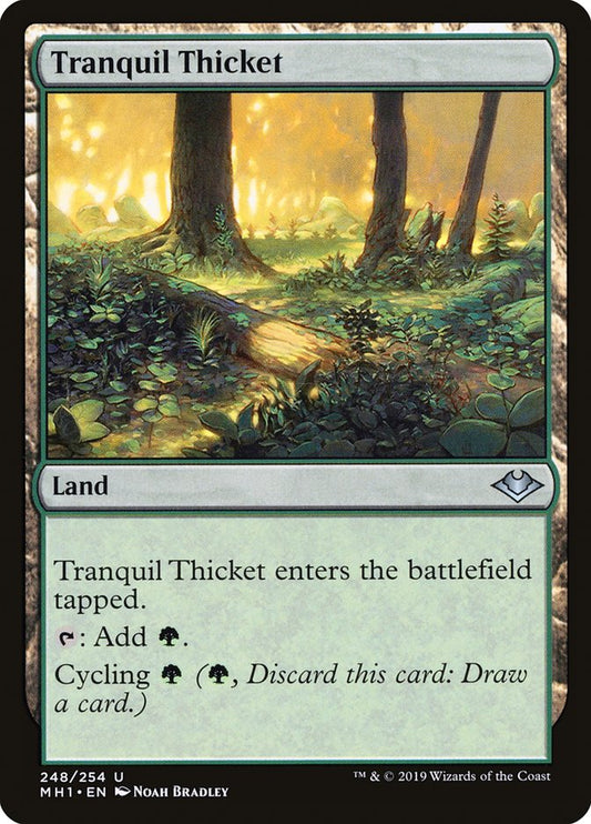 Tranquil Thicket front