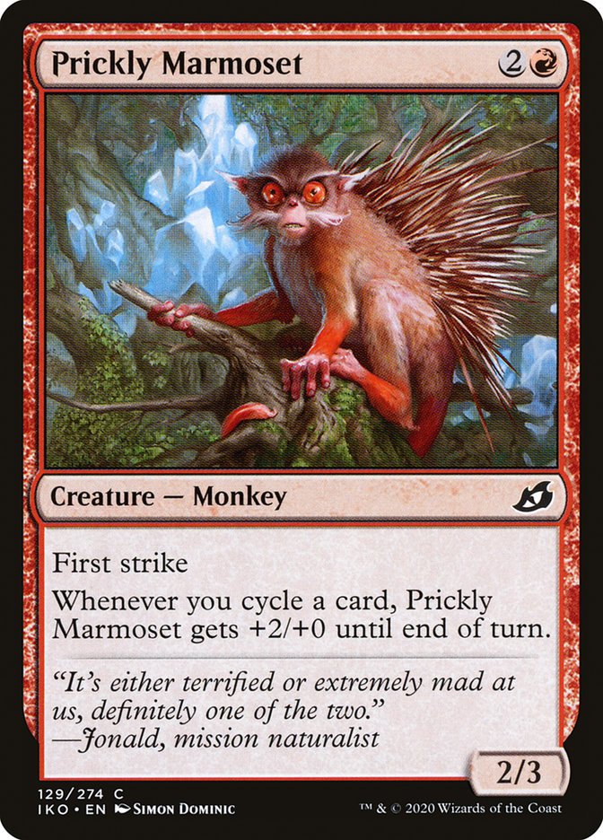 Prickly Marmoset front