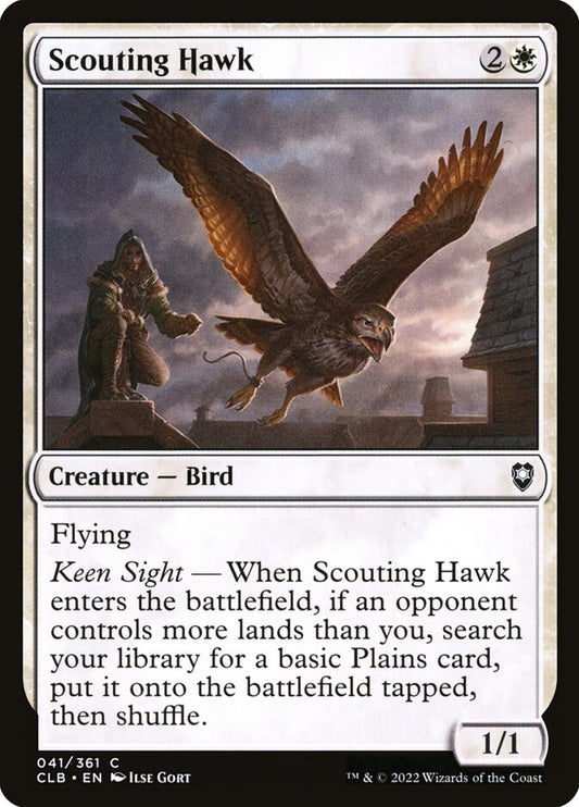 Scouting Hawk front