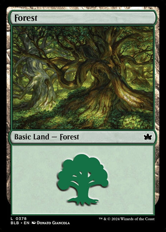 Forest front