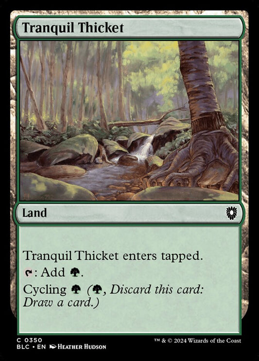 Tranquil Thicket front