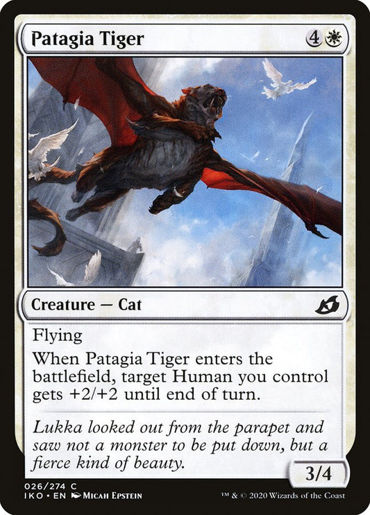 Patagia Tiger front