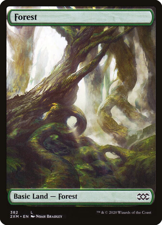 Forest front
