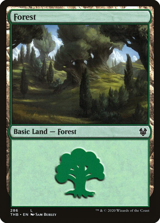 Forest front