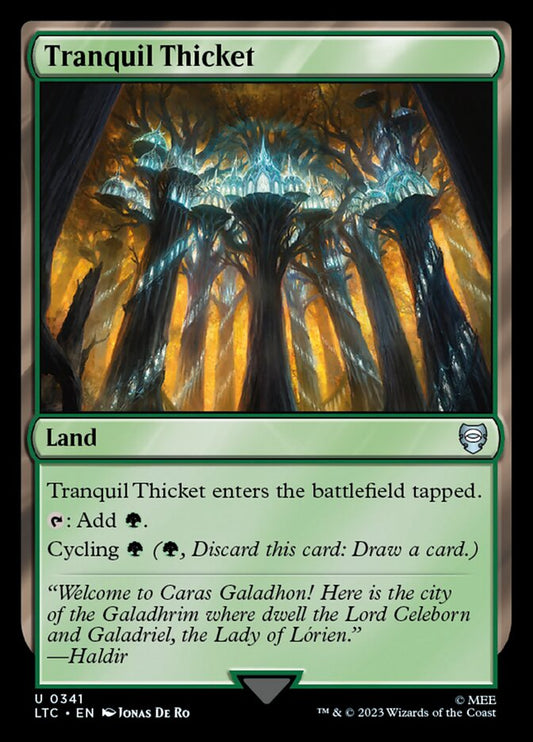 Tranquil Thicket front