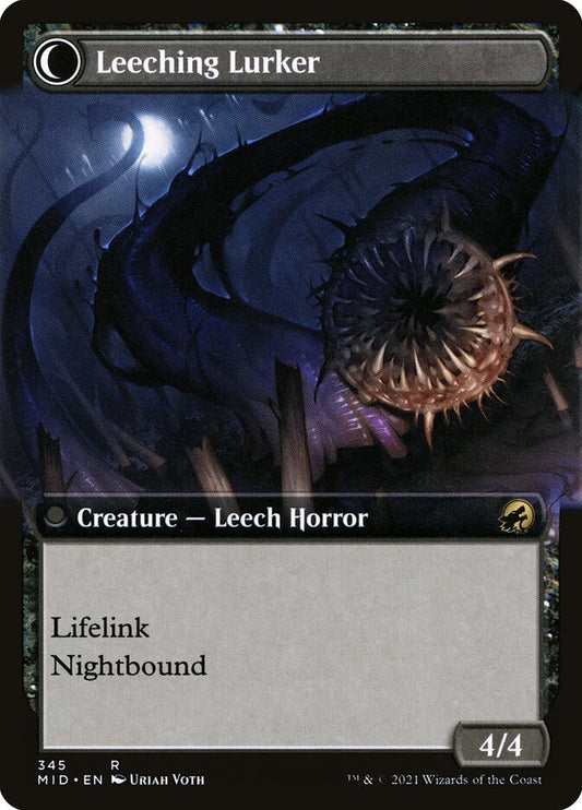 Curse of Leeches // Leeching Lurker back