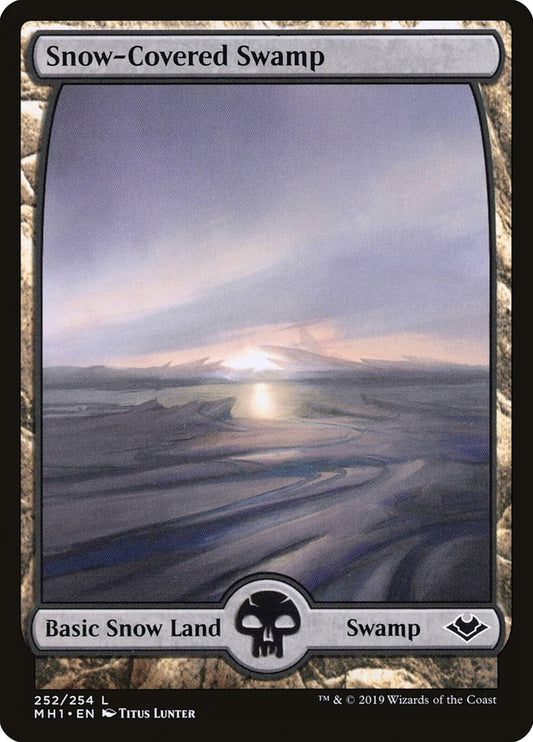 Snow-Covered Swamp front