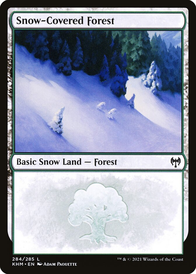 Snow-Covered Forest front