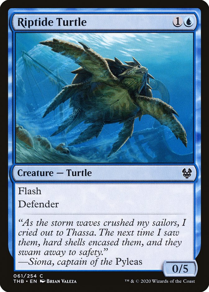 Riptide Turtle front