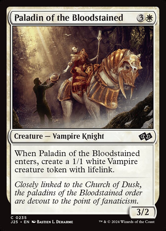 Paladin of the Bloodstained front