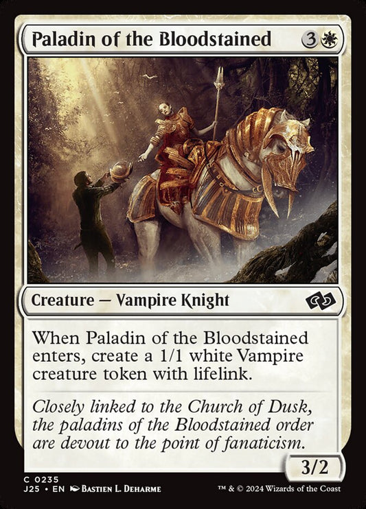 Paladin of the Bloodstained front