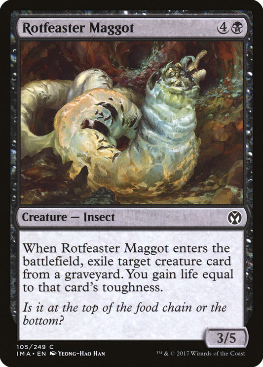 Rotfeaster Maggot front