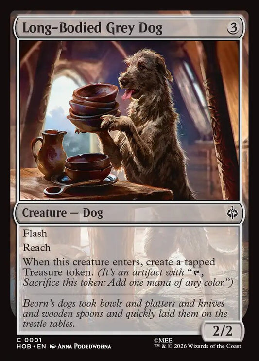 Long-Bodied Grey Dog front