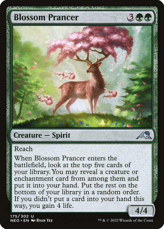 Blossom Prancer front