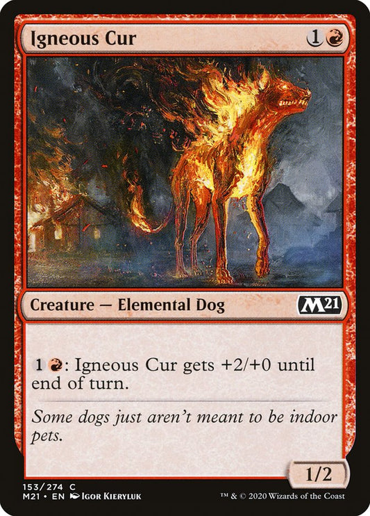 Igneous Cur front