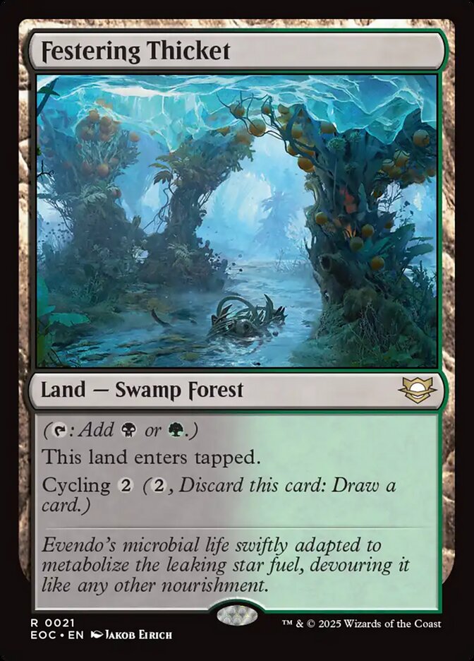 Festering Thicket front