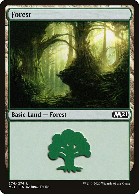 Forest front
