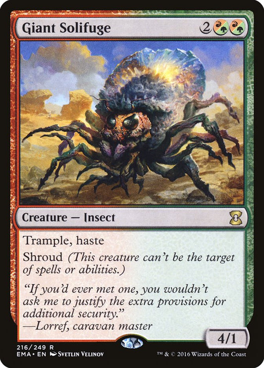Giant Solifuge front