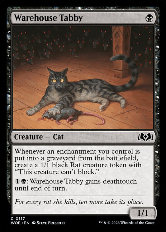Warehouse Tabby front