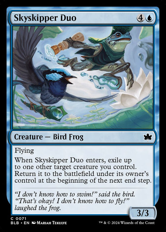 Skyskipper Duo front