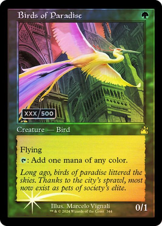 Birds of Paradise front